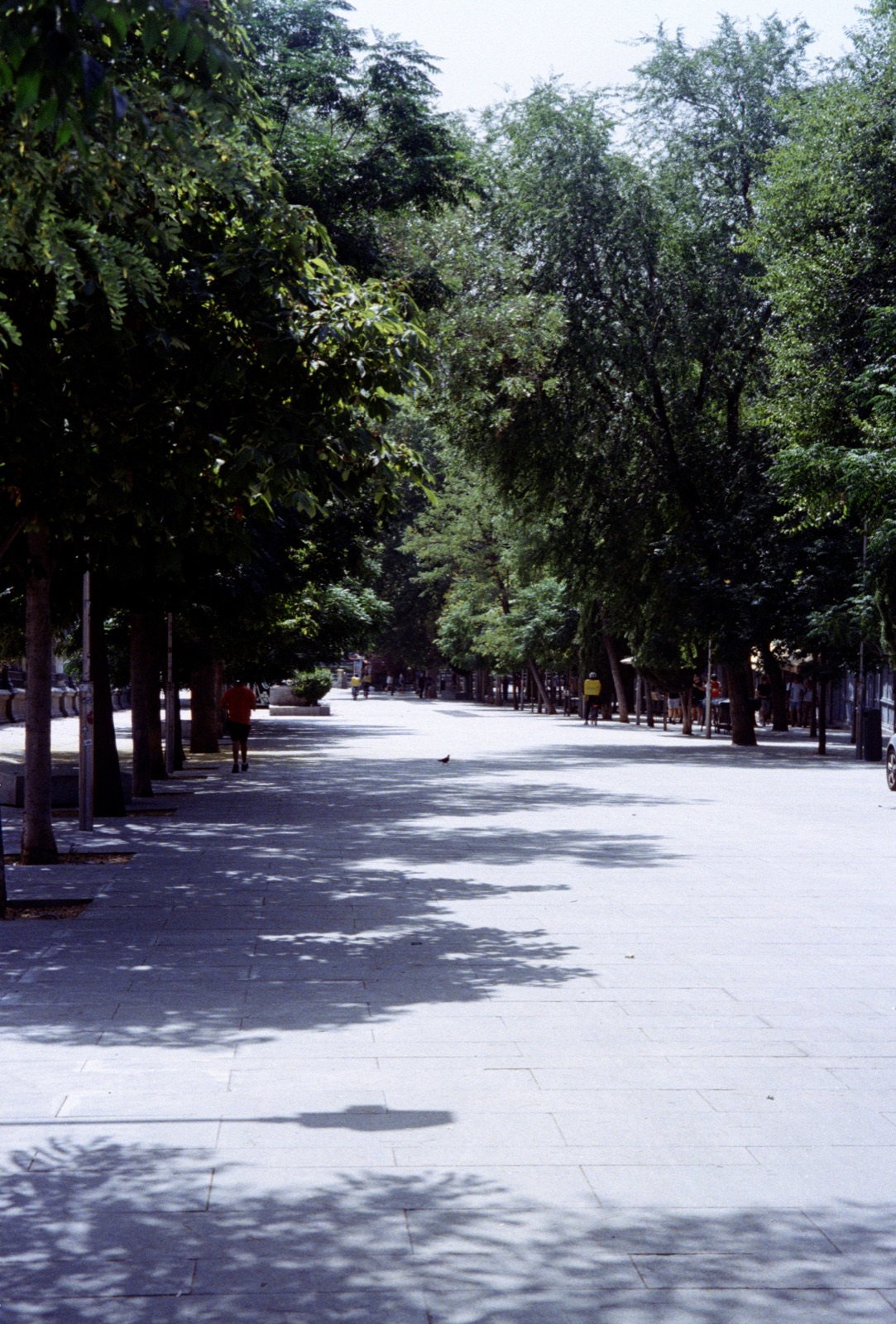 Paseo — Madrid · analog film