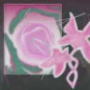 Aurora Brushes cover art