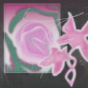 Before Daylight cover art