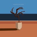 Casualidades cover art